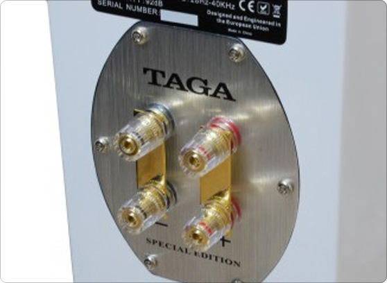 TAGA HARMONY PLATINUM F-100 SE V.2 - cecha 2